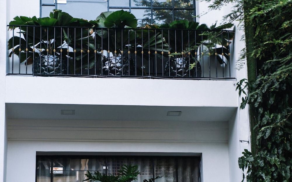 Sunflower Assisted Living & Memory Care