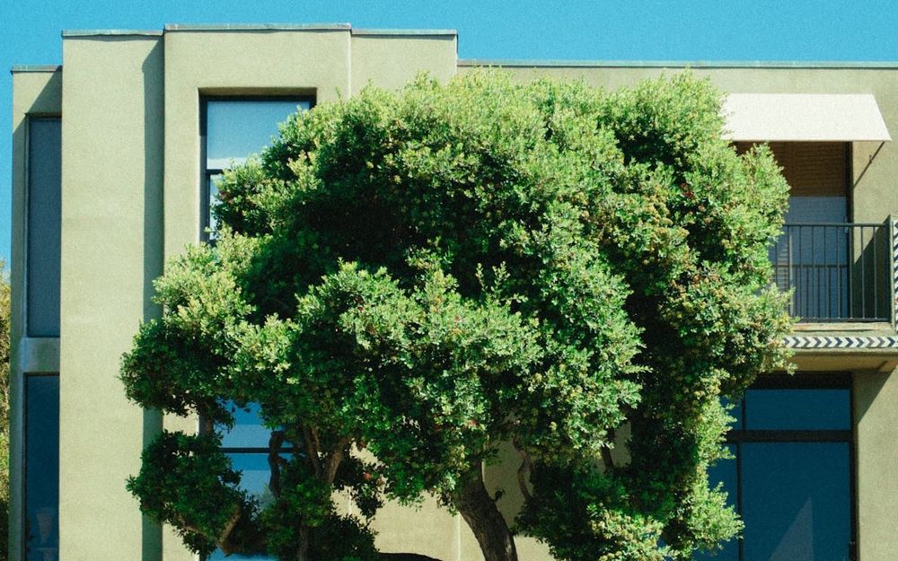 Sego Lily Assisted Living