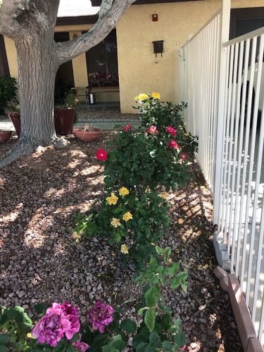 Hacienda Hill Manor