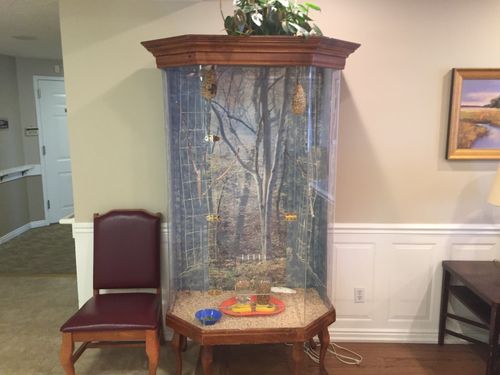 Abbington Manor photo 9