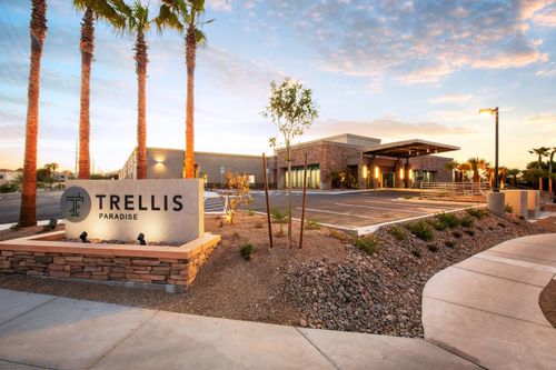 Trellis Paradise