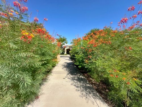 EMERALD GROVES CENTRAL in Mesa, Arizona