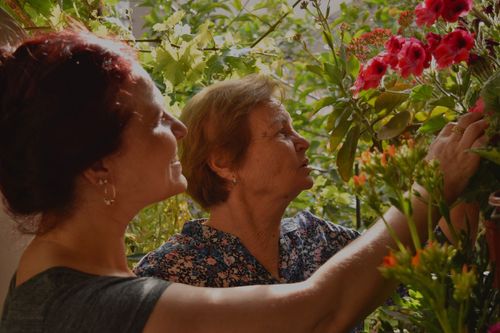 How Healing Gardens Benefit Memory Care Residents