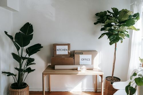 Hiring a Senior Move Manager: Is It Worth It?