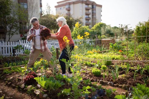 Assisted Living or Independent Living Which Is Right for You