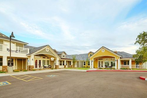Pecan Care Concepts at American Orchards in Gilbert, Arizona