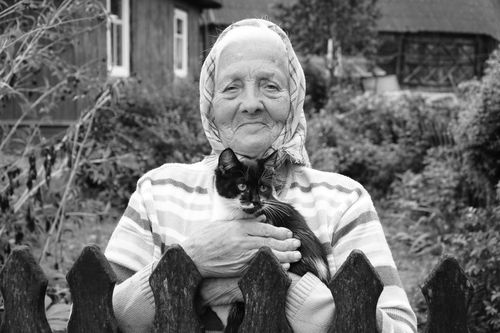 Care Home Pet Policies When an Owner's Health Declines